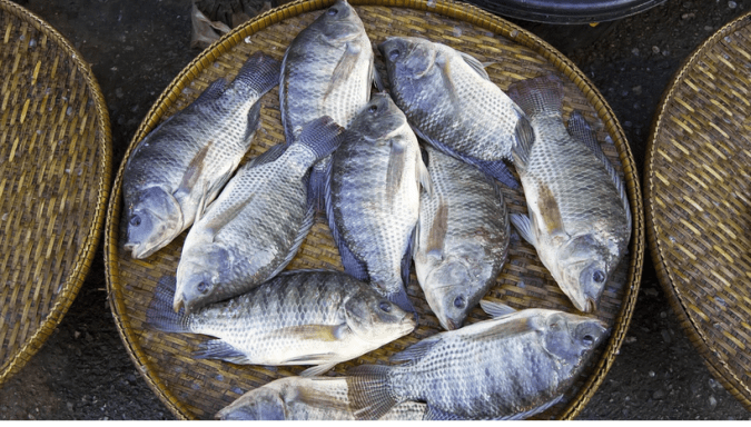 Captura de Pantalla 2020-01-12 a la(s) 5.10.56 p. m..png